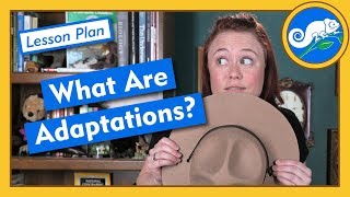 What Are Adaptations  Lesson Plan [upl. by Teemus343]