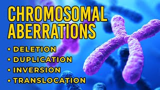 Chromosomal Aberrations  Deletion  Duplication  Inversion  Translocation [upl. by Pascia]