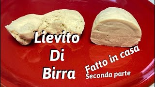 Lievito di Birra Fatto in Casa DAVVERO seconda parte [upl. by Eittam]