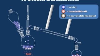 How Steam Distillation Works [upl. by Zacherie]