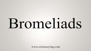 How To Say Bromeliads [upl. by Philipp922]