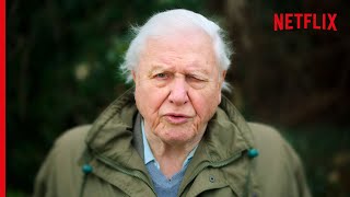 Sir David Attenborough On The Devastating Truth About Coral Reefs [upl. by Alaster]