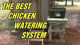 The best chicken watering system  Detailed video [upl. by Krever]