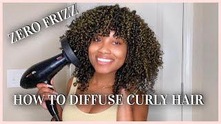 How To Diffuse Natural Curly Hair  NO FRIZZ  Tips amp Tricks [upl. by Jaycee]