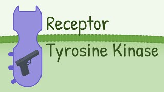 Receptor Tyrosine Kinase  MAPK Pathway [upl. by Eimerej]