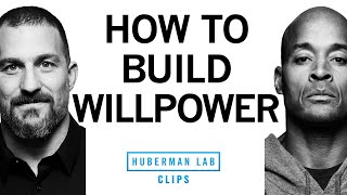 How to Build Willpower  David Goggins amp Dr Andrew Huberman [upl. by Kcirad166]