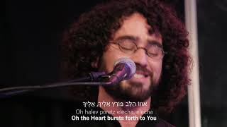 Praises Of Israel  Halev PoretzThe Heart Bursts ForthLive [upl. by Nebeur265]