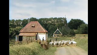 Texel De Parel Der Waddenzee in 1943 in kleur The beautiful Dutch island of Texel in 1943 in color [upl. by Druci]