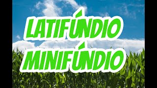 LATIFÚNDIOS E MINIFÚNDIOS QUAIS AS DIFERENÇAS  EF07GE06 [upl. by Uttica]