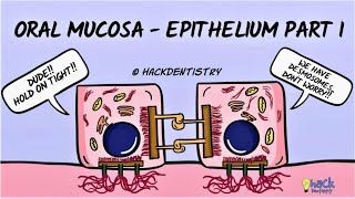 Oral Mucosa  An Introduction [upl. by Herrick]