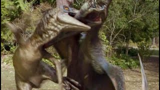 Dinosaur Velociraptor vs pterodactyl fight [upl. by Tebor510]