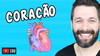 ANATOMIA DO CORAÇÃO  Fisiologia Cardíaca  Biologia com Samuel Cunha [upl. by Mildrid]