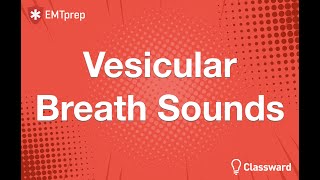 Vesicular Breath Sounds Animation  EMTprepcom [upl. by Morentz]