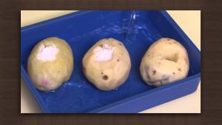 Potato experiment  Osmosis  Biology [upl. by Sherris]