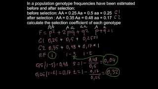 How to calculate the selection coefficient [upl. by Sean784]