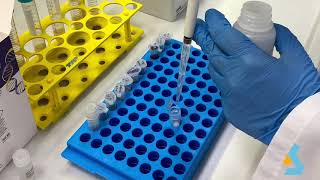 02  DNA Isolation from bacterial culture [upl. by Errick]