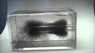 Magnetic Field lines 3D [upl. by Rosabelle]