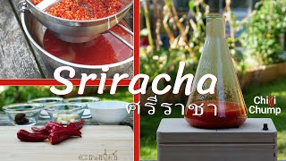 Sriracha hot sauce recipe Quick easy and delicious [upl. by Emina]