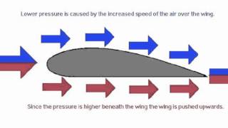 Bernoullis Principle [upl. by Serdna]