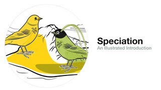 Speciation An Illustrated Introduction [upl. by Sadnalor]