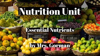 nutrition Six essential nutrients [upl. by Egor]