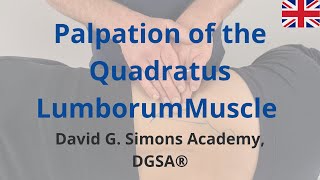 Palpation of the Quadratus Lumborum Muscle [upl. by Stefania]