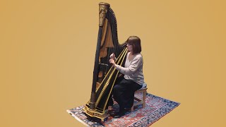 Introducing Mozarts Single Action Pedal Harp [upl. by Lathe]