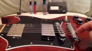 SG Guitars Quick Setup Specs [upl. by Erleena]