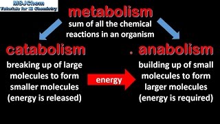 B1 Introduction to biochemistry SL [upl. by Adriaens]