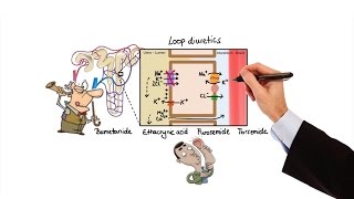 Pharmacology  DIURETICS MADE EASY [upl. by Heall]