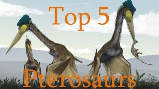 Top 5 Pterosaurs [upl. by Benyamin]