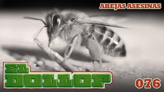 E76 Abejas Asesinas [upl. by Appleton]