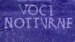 SERIE TV 1995 quotVOCI NOTTURNEquot DI PUPI AVATI [upl. by Lessard242]