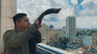 SHOFAR in Jerusalem  Ancient music horn  Jewish [upl. by Aihtnyc]