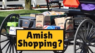 5 Places Where Amish Buy Things [upl. by Nylcoj892]