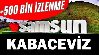 Samsun Kabaceviz Halay  Oyun Havası [upl. by Furr]