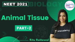 Animal Tissue  Part 2  NEET 2021  NEET Biology  Ritu Rattewal [upl. by Trinidad]