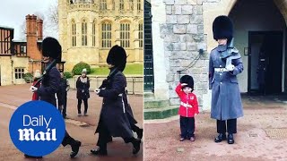 Fouryearold boy salutes next to guardsman at Windsor Castle  Daily Mail [upl. by Aenit580]