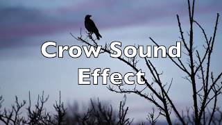 Crow Sound Effect  HD Quality [upl. by Hazeghi]