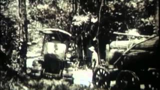 Timber Industry in British Honduras 1930s  Film 1940 [upl. by Ellinej]