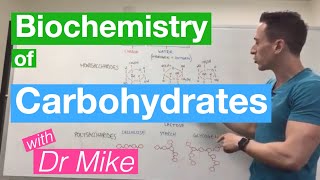 Carbohydrates  Biochemistry [upl. by Gaivn]