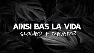 Ainsi Bas La Vida slowedreverb🎧🎧 [upl. by Einej]