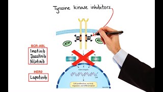 Pharmacology  CANCER DRUGS – CELL CYCLE INHIBITORS MADE EASY [upl. by Bronk936]