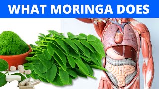 👉 The Shocking Truth About MORINGA Moringa Benefits amp Side Effects [upl. by Abeu]