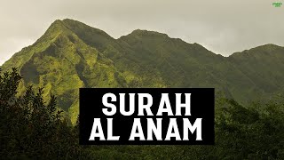 SURAH AL ANAM FULL SURAH  HEART SOOTHING RECITATION [upl. by Garris]