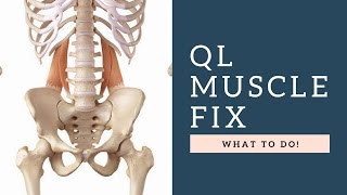 FIX Quadratus Lumborum QL Muscle Back Pain By Following These Exercises amp Tips [upl. by Nitsyrc]