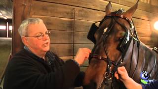 How to Harness a Horse with Harry Sebring  Part 2 [upl. by Namijneb]