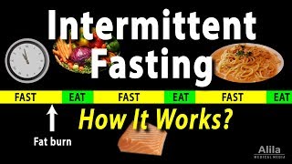 Intermittent Fasting  How it Works Animation [upl. by Allicserp]