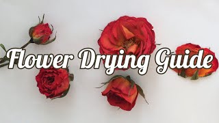 How to Dry Flowers 4 Methods [upl. by Namlaz396]