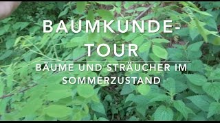 BaumkundeTour 17 Bäume und Sträucher erkennen [upl. by Gnivri911]